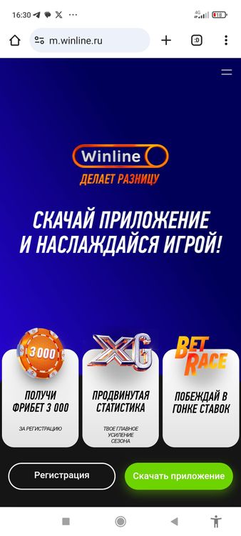 winline1.jpg